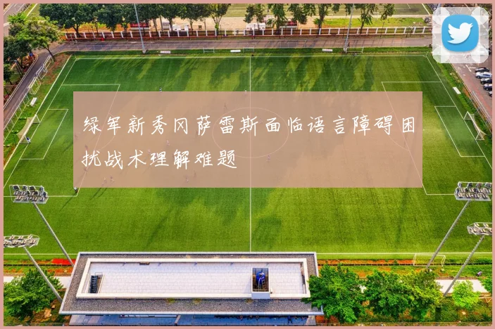绿军新秀冈萨雷斯面临语言障碍困扰战术理解难题